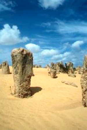 Die Pinnacles im Nambung NP