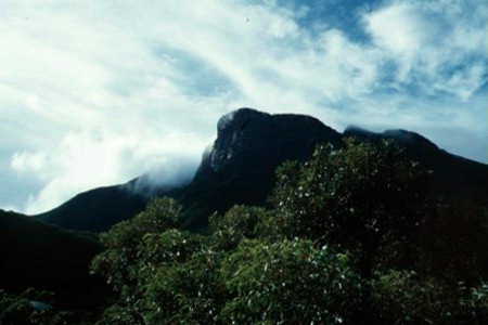 Bluff Knoll