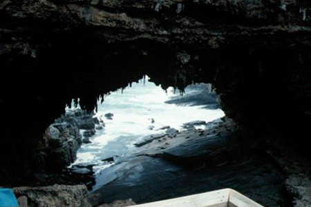 Admirals Arch auf Kangaroo Island