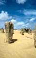 Die Pinnacles im Nambung NP