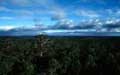 Ausblick vom Gloucester Tree