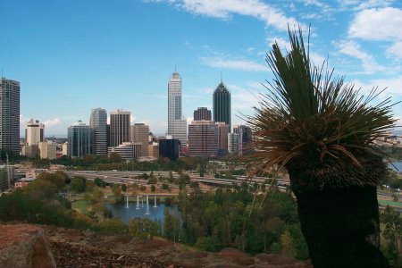 die Skyline von Perth vom Kingspark aus gesehen