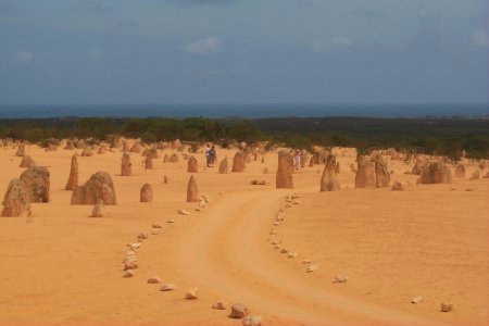 Die Pinnacles im Nambung NP