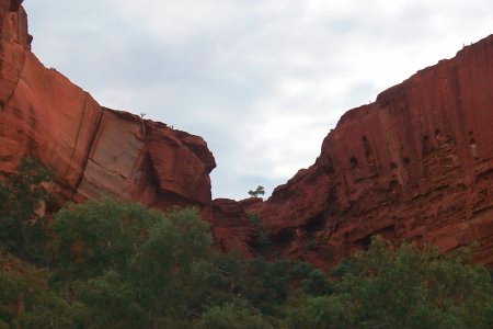 im Kings Canyon