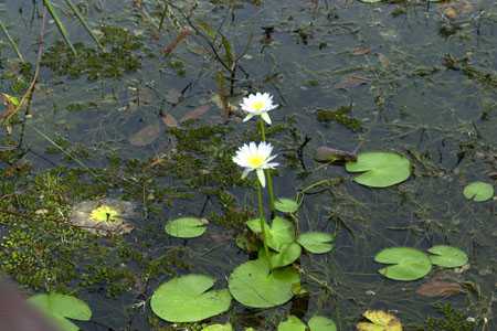 der Eingang zum Kakadu NP