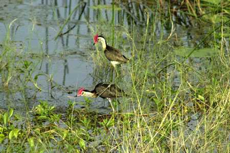 der Eingang zum Kakadu NP