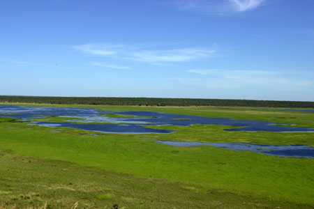 groe Wasserflächen in den Wetlands