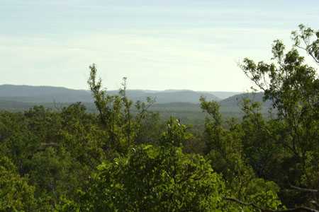 ein kurzer Walk im Bush