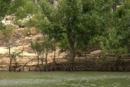 die ersten drei Gorges der Katherine Gorge