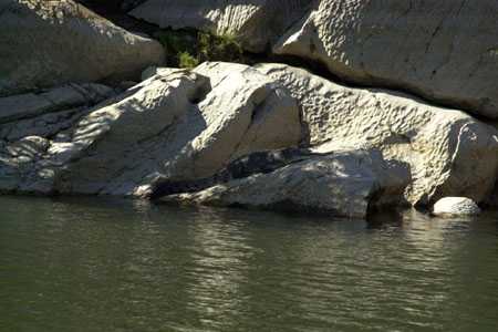 Krokodile in der Geiki Gorge