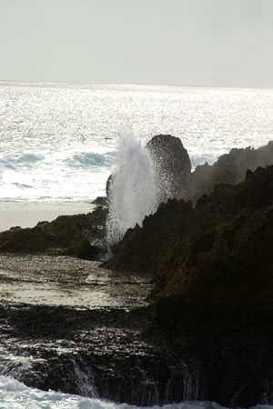 die Blowholes am Point Quabba