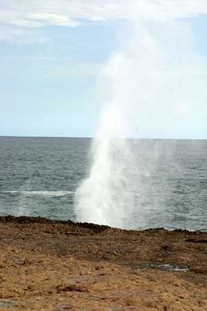 die Blowholes am Point Quabba