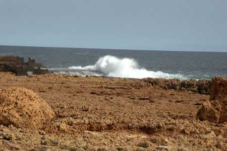 die Blowholes am Point Quabba