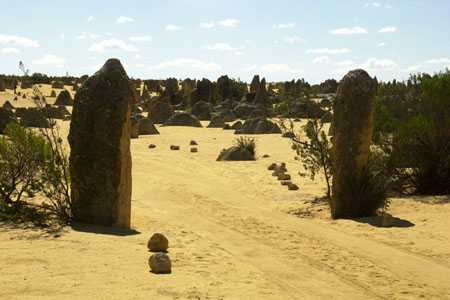 im Nambung NP (Pinnacles)