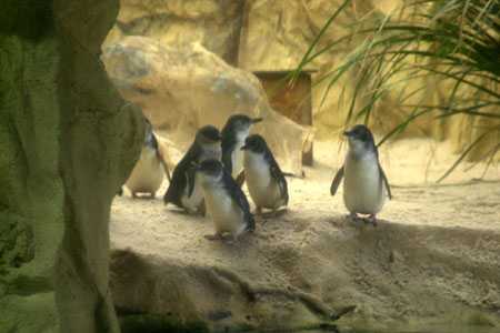 Sydney Aquarium